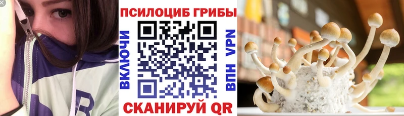 Купить где Апатиты Псилоцибиновые грибы MAGIC MUSHROOMS