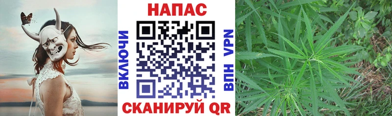 Купить закладки  Апатиты  Бошки Шишки гибрид 